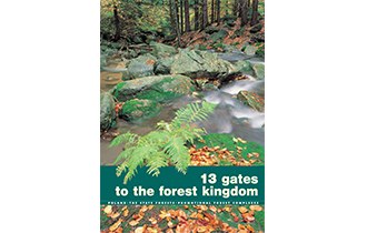 13 gates to the forest kingdom