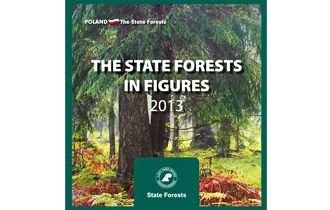 The state forests in figures 2013