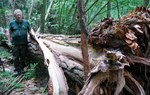 Leśniczy Marian Firer oprowadza po rezerwacie „Zwierzyniec”