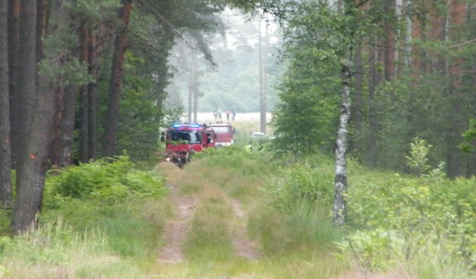 Leśnicy i strażacy ćwiczyli gaszenie pożarów 