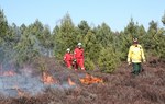 Ogień w gospodarce leśnej i ochronie przyrody