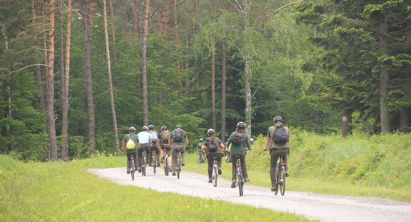 Na zdjęciu widać grupę osób jadących na rowerach po leśnej ścieżce/ Fot. Edward Marszałek
