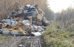 Na zdjęciu widać dużą ilość śmieci wyrzuconych do lasu