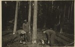 Praca w lesie pod koniec lat 50./ Arch. Nadl. Oleszyce