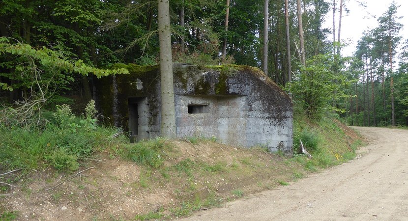 Na zdjęciu widać leśną drogę, przy której  znajduje się betonowy budynek z niewielkim oknem (bunkier)/ Fot. Nadleśnictwo Dwukoły