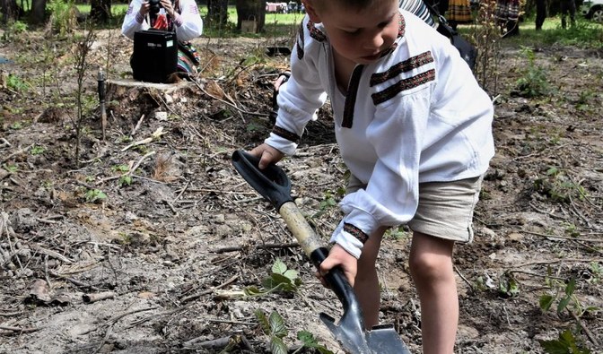 Na zdjęciu widać dziecko, małego chłopca, który sadzi drzewa/ Fot. Paweł Kurzyna