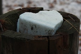 Taki wydrążony pień wypełniony solą to lizawka dla dzikich zwierząt. Stawiana jest w lesie, w bliskim sąsiedztwie paśnika. Rozpuszczona sól wnika w drewno, które liżą zwierzęta, uzupełniając w ten sposób składniki pokarmowe w okresie zimy.