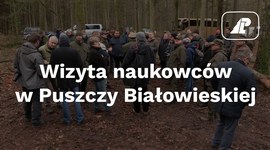 Wizyta naukowców w Puszczy Białowieskiej