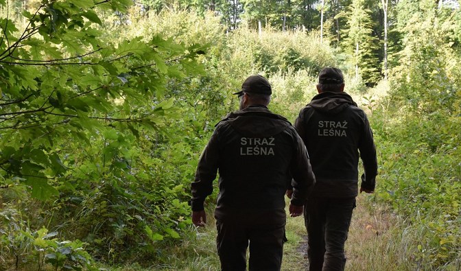 Na zdjęciu dwóch strażników leśnych patrolujących las