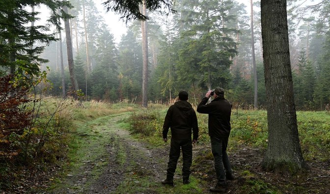 Na zdjęciu dwóch strażników leśnych patrolujących las