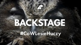#CoWLesieHuczy - BACKSTAGE