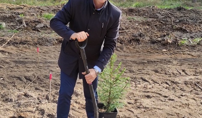 Fotografia przedstawia burmistrza Barczewa sadzącego drzewko.