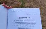 Fotografia przedstawia certyfikat na sadzonki świerka pospolitego.