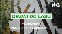 Drzwi do lasu, odc. 6 Tajemnice Puszczy Białowieskiej