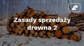 Nowe zasady sprzedaży drewna - komentarz dyrektora generalnego LP cz. 2