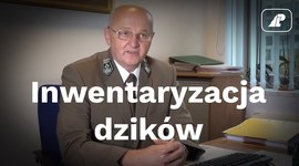 Inwentaryzacja dzików - komentarz Jana Błaszczyka, głównego łowczego Lasów Państwowych
