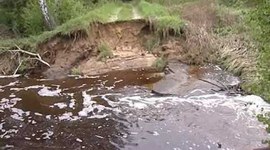 Powódź w śląskich lasach