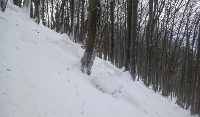 Zdjęcie przedstawia nawisy śnieżne i fragment tegorocznego zsuwu na stoku Cergowej, szczytu w Beskidzie Niskim/ Fot. Dominik Jagieła
