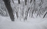 Na zdjęciu są widoczne nawisy śnieżne i fragment tegorocznego zsuwu na stoku Cergowej/ Fot. Dominik Jagieła