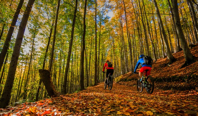 Dwie osoby jadące na rowerach przez jesienny las