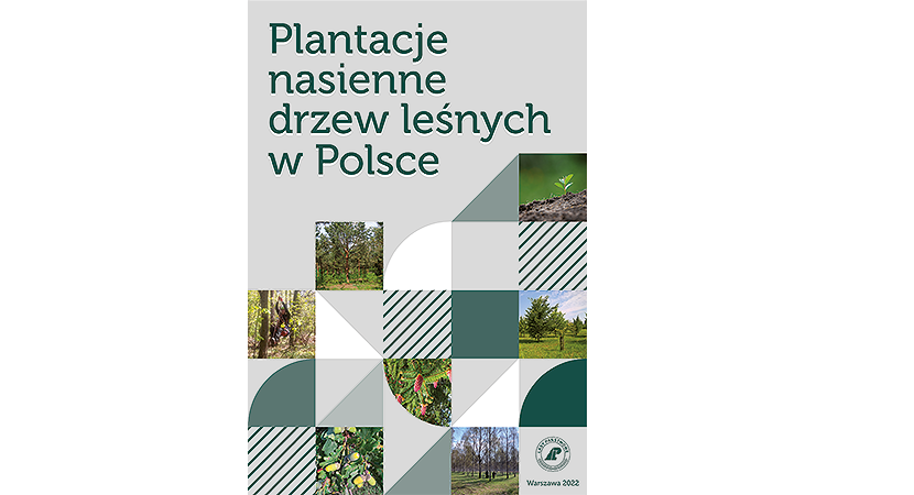 Plantacje nasienne drzew leśnych w Polsce