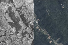Zdjęcie przedstawia porównanie stanu lasu w 1944 roku ze stanem w chwili obecnej. Lewa strona to fotografia z 1944 roku, prawa strona to czas teraźniejszy.