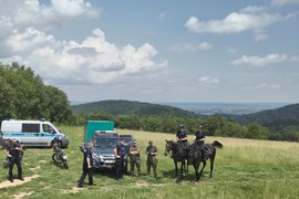 Policjanci i strażnicy leśni w terenie. Dwoje policjantów siedzi na koniach, pozostali stoją koło samochodów i motocykli.