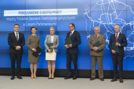 Na tle niebieskiego ekranu z napisem Porozumienie o współpracy między Polskimi Sieciami Elektroenergetycznymi a Lasami Państwowymi stoją przedstawiciele obu podmiotów
