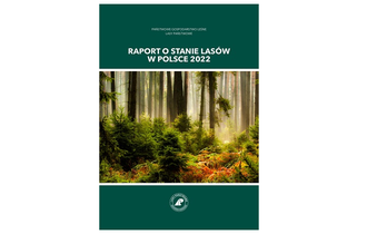 Raport o stanie lasów w Polsce 2022