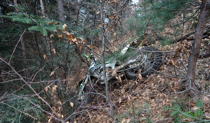 przewrócony motocykl w leśnych zaroślach
