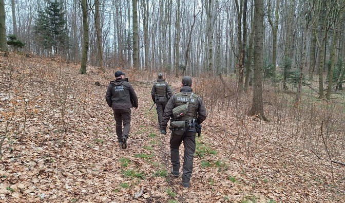 patrol Straży Leśnej w terenie. Trzech mężczyzn w służbowych mundurach, w kurtkach z napisem "Straż Leśna" idzie przez las