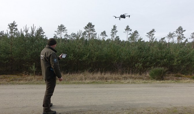 Mężczyzna w mundurze straży leśnej stoi na leśnej drodze. W dłoniach trzyma ster do drona, który unosi się nad nim.