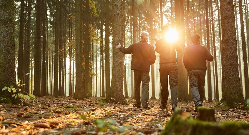 W lesie, w promieniach słońca prześwitującego zza pni drzew stoją tyłem do obiektywu 3 osoby. Jedna z nich coś wskazuje ręką.