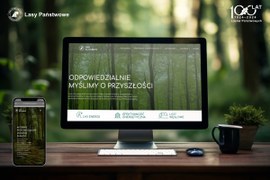 Nowa strona poświęcona projektom Lasów Państwowych