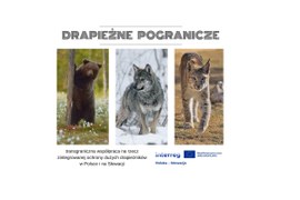 Plakat pokazujący wspólne działania, a na nim zdjęcia niedźwiedzia, rysia i wilka