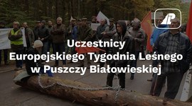 Uczestnicy Europejskiego Tygodnia Leśnego w Puszczy Białowieskiej