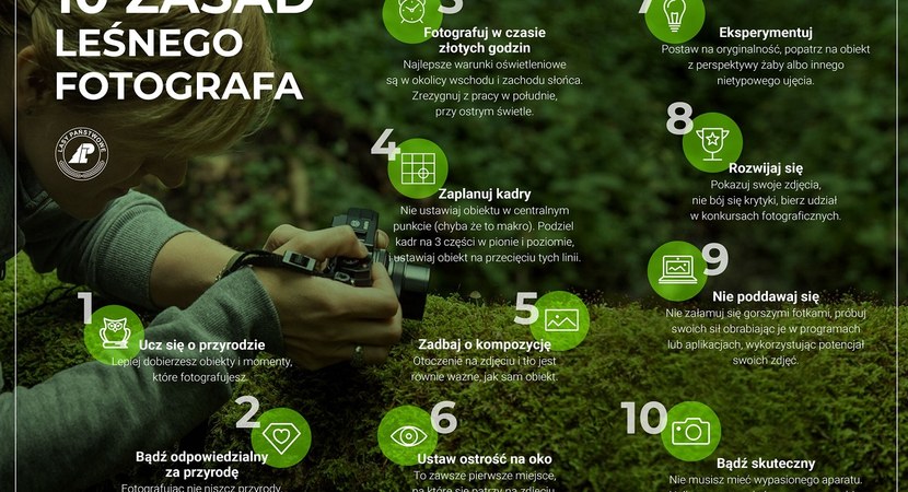 10 zasad leśnego fotografa