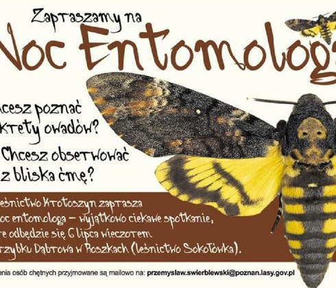 Noc Entomologa w Nadleśnictwie Krotoszyn