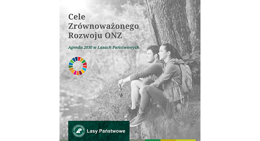 Cele zrównoważonego rozwoju ONZ. Agenda 2030 w Lasach Państwowych