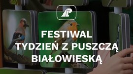 Tydzień z Puszczą Białowieską