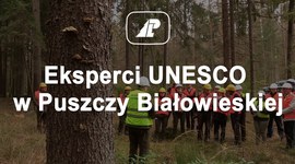Eksperci UNESCO  w Puszczy Białowieskiej