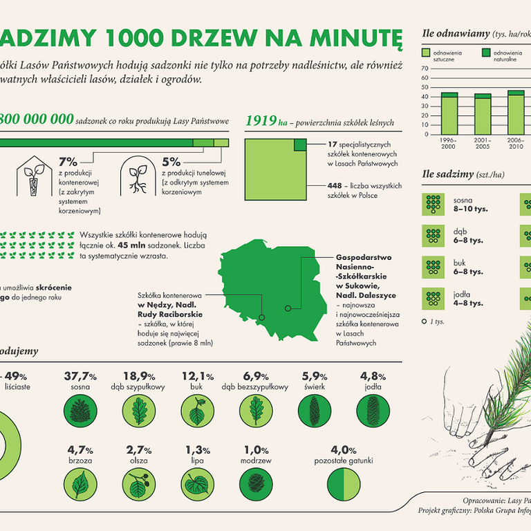Infografika źródło Centrum Informacyjne Lasów Państwowych.png