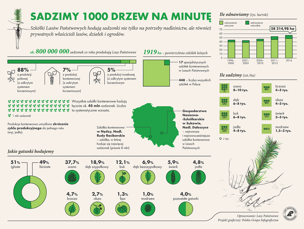 Infografika źródło Centrum Informacyjne Lasów Państwowych.png