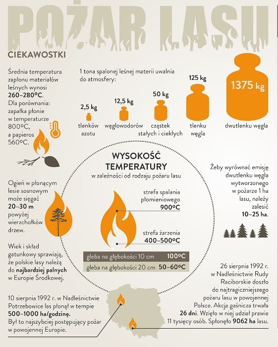 polska grupa infograficzna pozary lasow2a (1) (561x700).jpg
