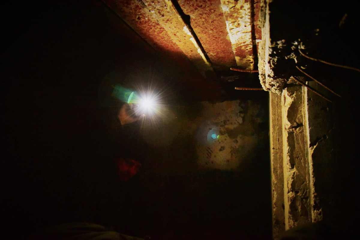 Nietoperz przezimuje w jednym z bunkrów z czasów II wojny światowej