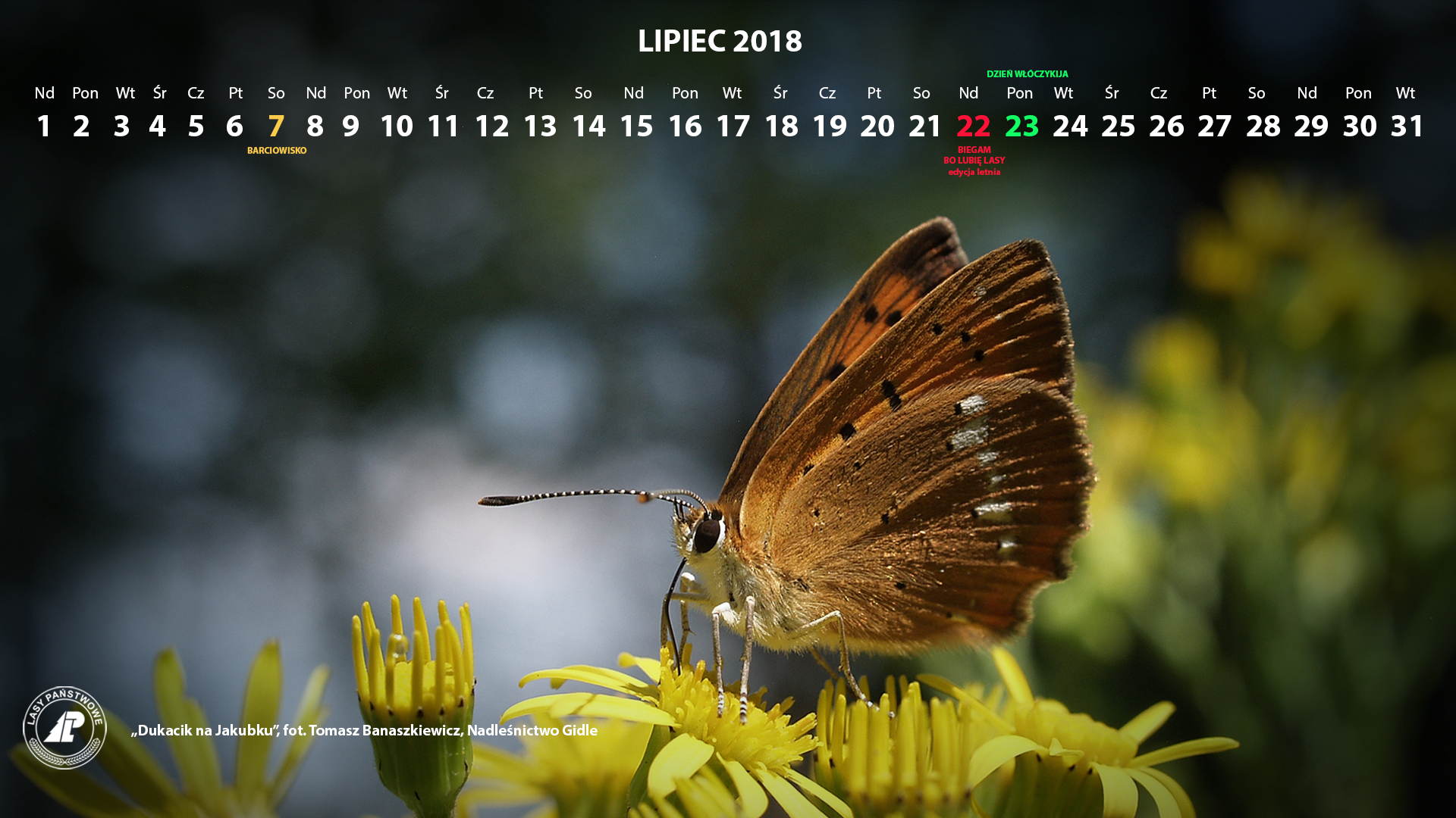 Kalendarz_lipiec_2018_1920x1080[1].jpg