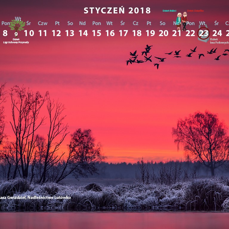Kalendarz styczeń 2018 1366x768.jpg
