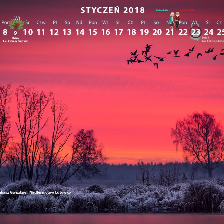 Kalendarz styczeń 2018 - 1600x900.jpg