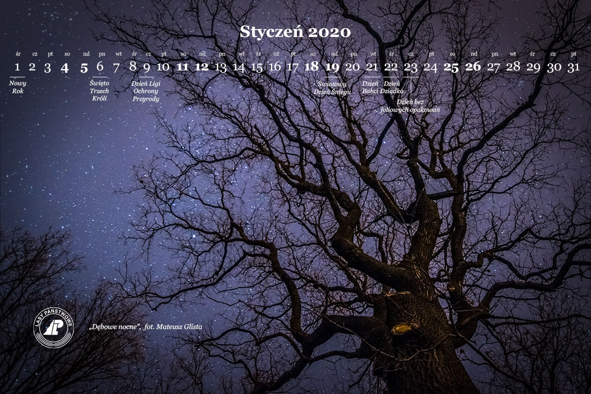 kalendarz_styczen_2020_1200x800.jpg
