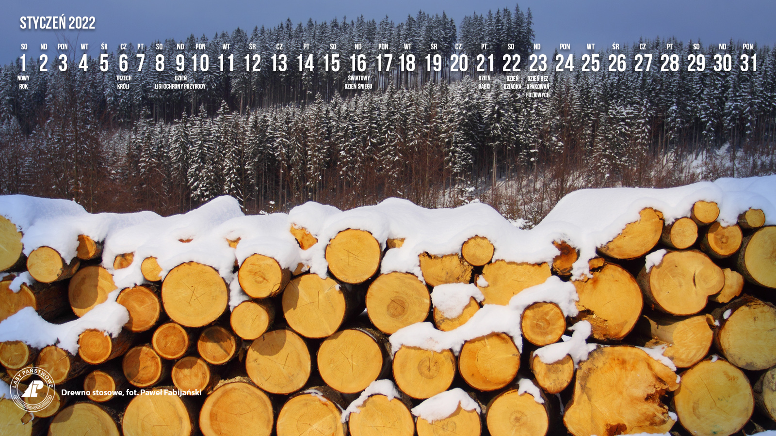 Kalendarz STYCZEŃ 2022 1600x900-2.jpg